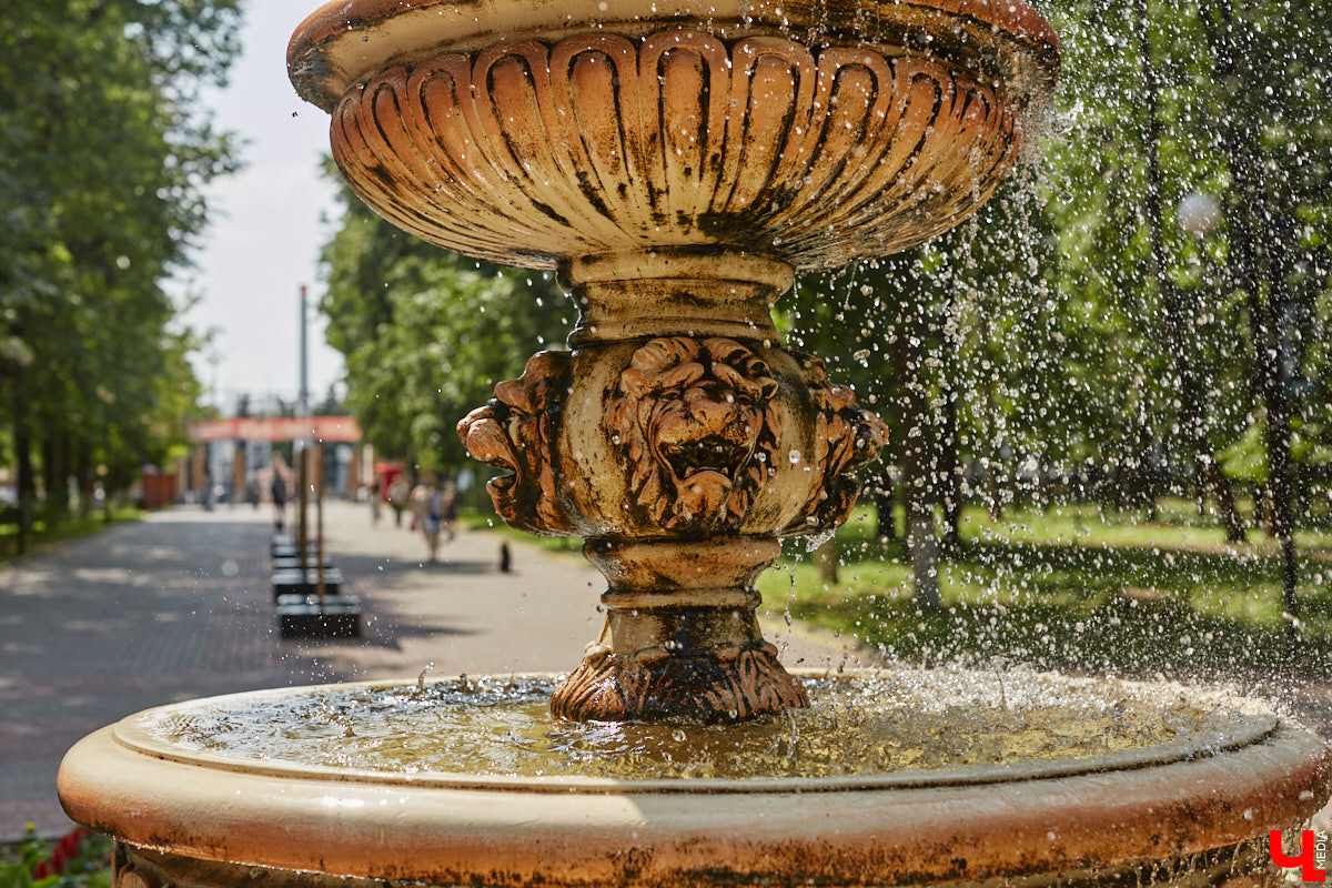 Центральный парк, как и вокзал, является лицом города. И главная зеленая площадка стремится соответствовать такому высокому статусу. Там широкие тенистые аллеи, клумбы, большой освежающий фонтан. Впрочем, если присмотреться, не все так идеально. Что же во владимирском оазисе требует внимания?