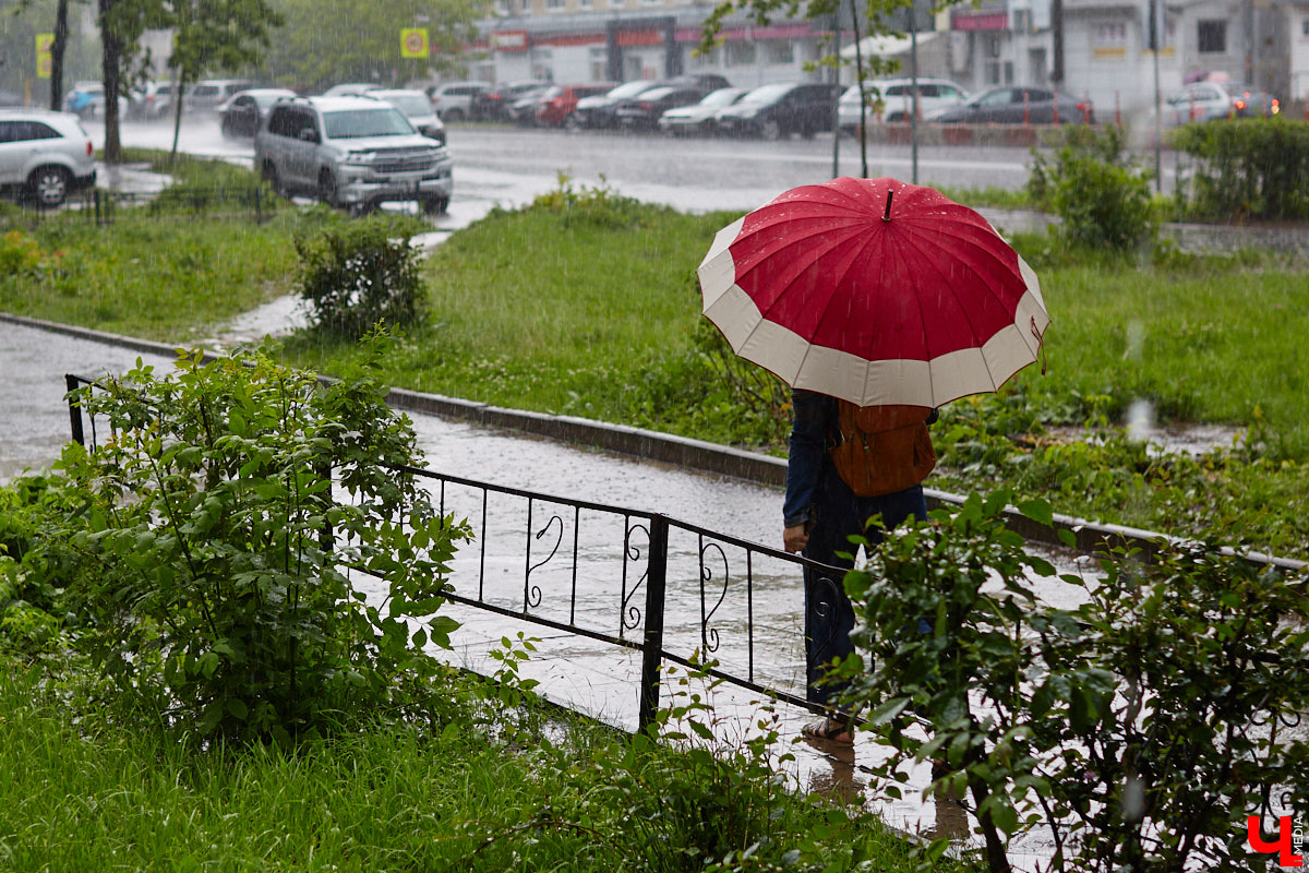 Июнь точно забыл, что относится к летним месяцам. Погожие дни за прошедшие декады можно пересчитать по пальцам. Стоит ли нам рассчитывать на жаркий финиш, чтобы снять с паузы купальный сезон, рассказали синоптики.