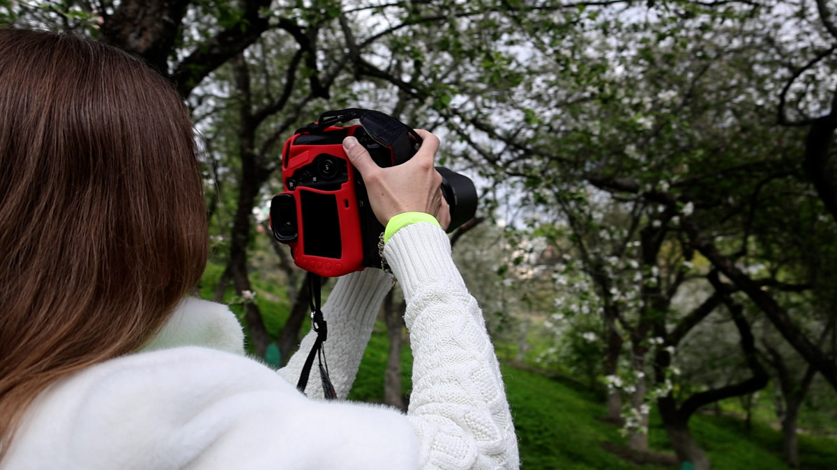 Лето — самое время делать красивые снимки. И если к кадрам в купальниках погода явно не располагает, фотосессия в цветах послужит отличной альтернативой. Главное, найти подходящее место. Вариантов немало: от Патриаршего сада, где одни оттенки сменяют другие, до поля с люпинами. «Ключ-Медиа» собрал топ-5 самых благоухающих локаций.