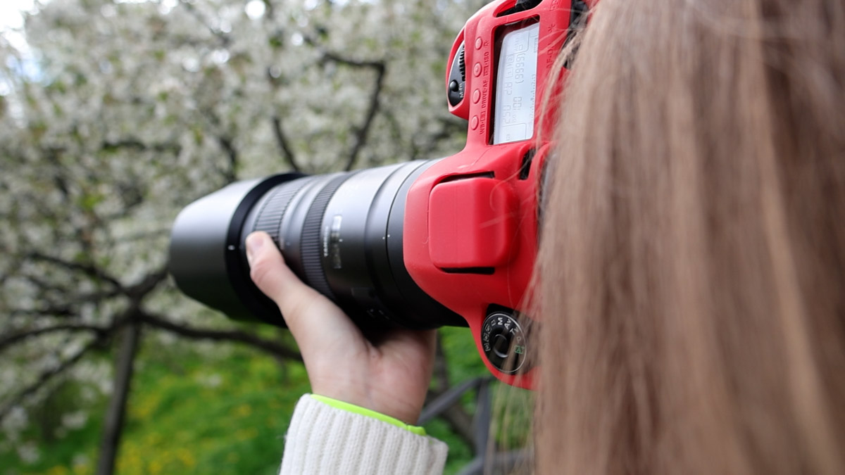 Лето — самое время делать красивые снимки. И если к кадрам в купальниках погода явно не располагает, фотосессия в цветах послужит отличной альтернативой. Главное, найти подходящее место. Вариантов немало: от Патриаршего сада, где одни оттенки сменяют другие, до поля с люпинами. «Ключ-Медиа» собрал топ-5 самых благоухающих локаций.