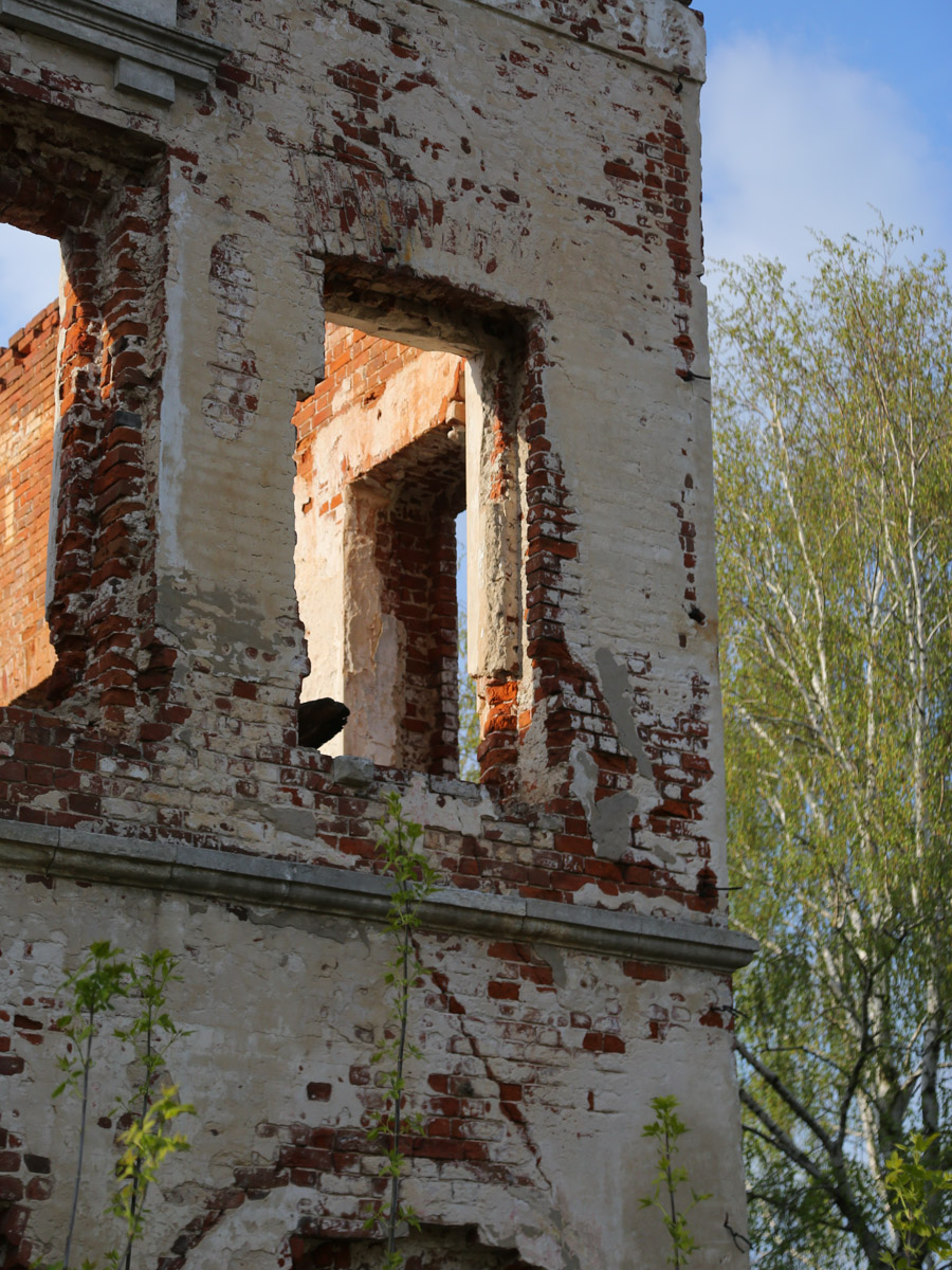 Некогда роскошный купеческий особняк на одной из центральных улиц Мурома теперь напоминает руины. Без реставрации дом Каратыгина начала XIX века канет в небытие довольно скоро. Какой была усадьба, можно представить по описанию, а вот какой стала, нам показала фотограф Ирина Казанцева.