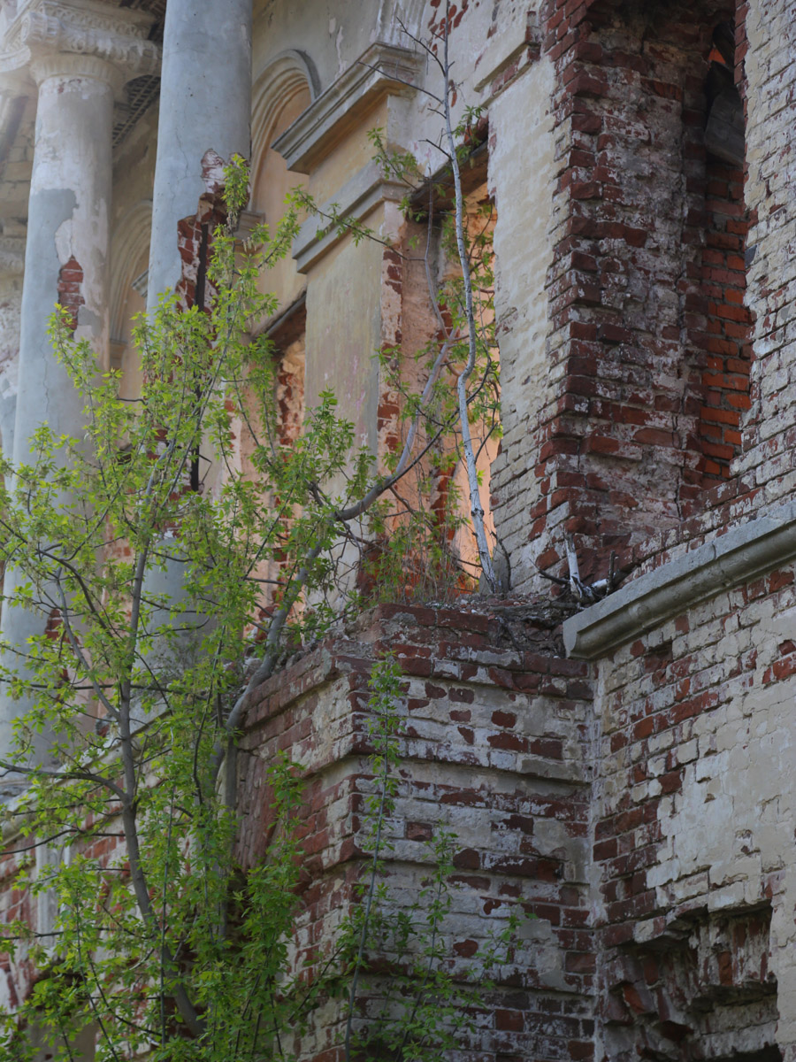 Некогда роскошный купеческий особняк на одной из центральных улиц Мурома теперь напоминает руины. Без реставрации дом Каратыгина начала XIX века канет в небытие довольно скоро. Какой была усадьба, можно представить по описанию, а вот какой стала, нам показала фотограф Ирина Казанцева.