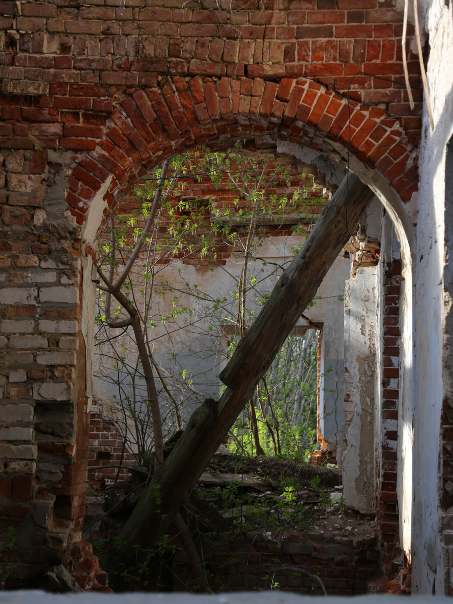 Некогда роскошный купеческий особняк на одной из центральных улиц Мурома теперь напоминает руины. Без реставрации дом Каратыгина начала XIX века канет в небытие довольно скоро. Какой была усадьба, можно представить по описанию, а вот какой стала, нам показала фотограф Ирина Казанцева.