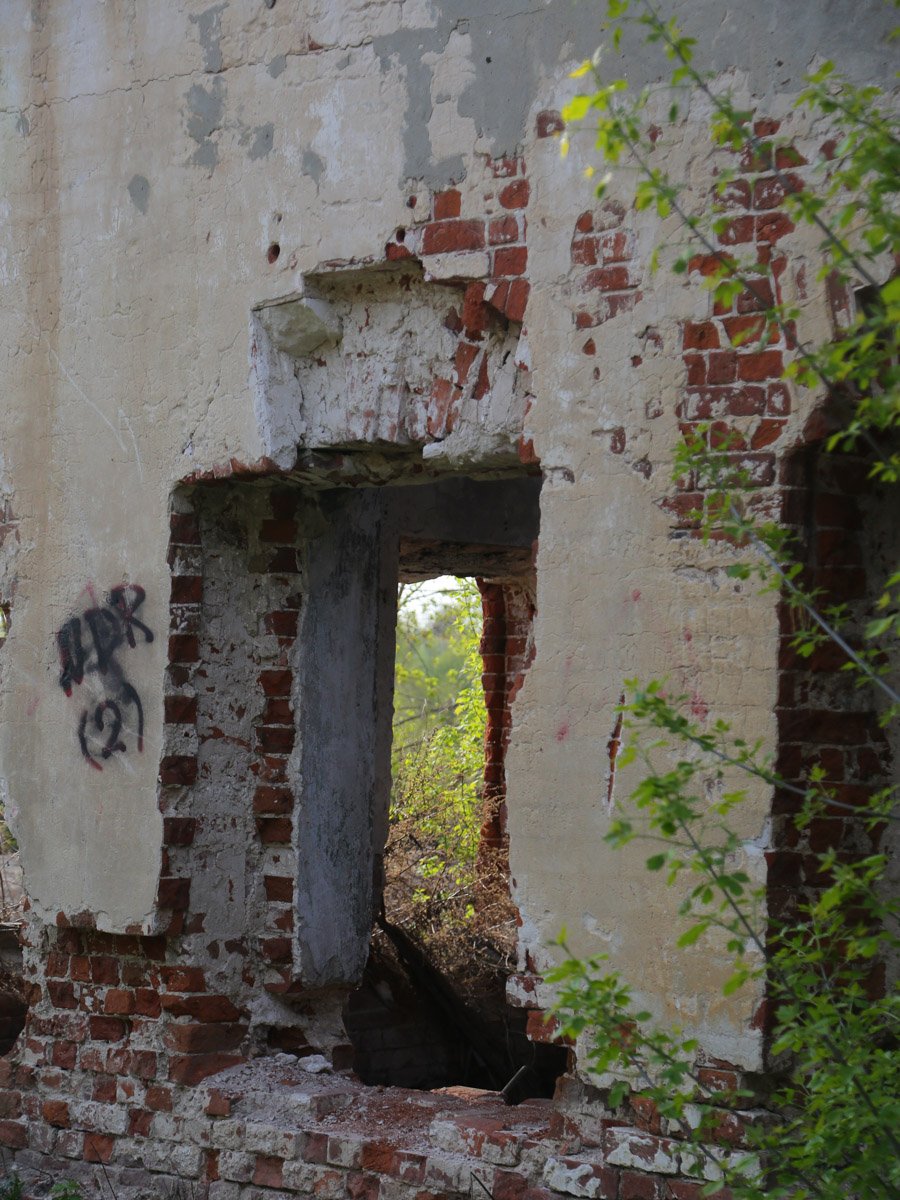 Некогда роскошный купеческий особняк на одной из центральных улиц Мурома теперь напоминает руины. Без реставрации дом Каратыгина начала XIX века канет в небытие довольно скоро. Какой была усадьба, можно представить по описанию, а вот какой стала, нам показала фотограф Ирина Казанцева.