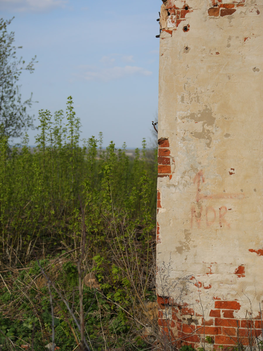 Некогда роскошный купеческий особняк на одной из центральных улиц Мурома теперь напоминает руины. Без реставрации дом Каратыгина начала XIX века канет в небытие довольно скоро. Какой была усадьба, можно представить по описанию, а вот какой стала, нам показала фотограф Ирина Казанцева.