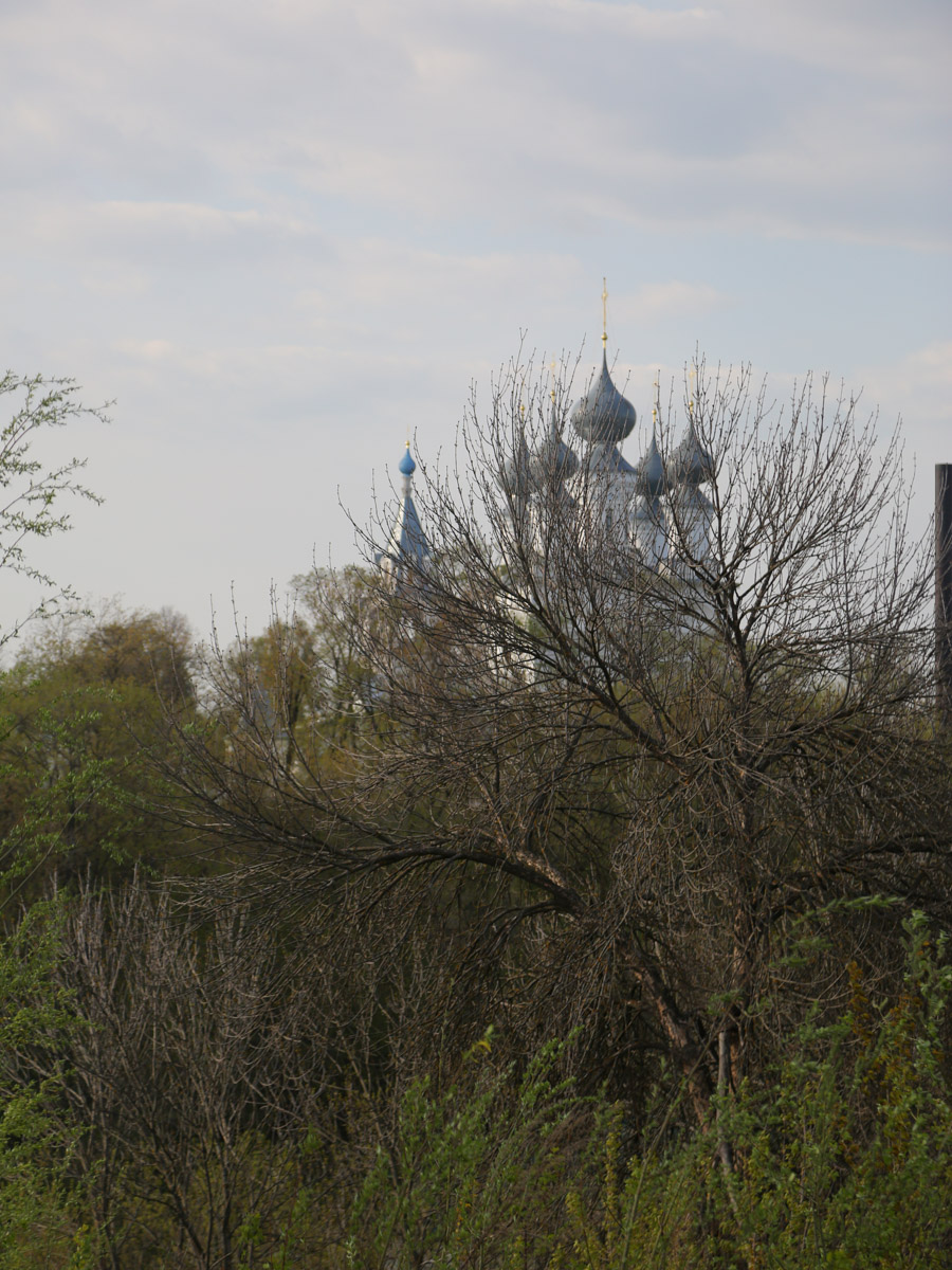 Некогда роскошный купеческий особняк на одной из центральных улиц Мурома теперь напоминает руины. Без реставрации дом Каратыгина начала XIX века канет в небытие довольно скоро. Какой была усадьба, можно представить по описанию, а вот какой стала, нам показала фотограф Ирина Казанцева.