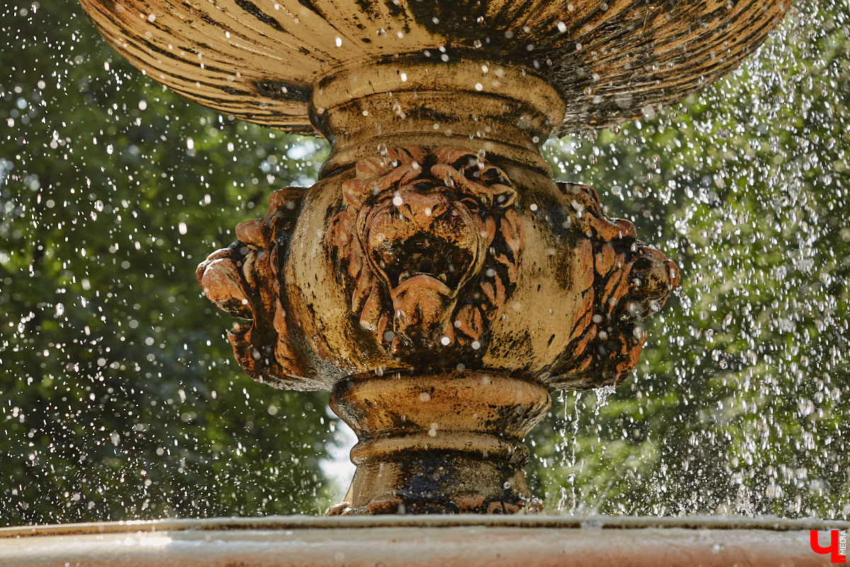 Львы во Владимире повсюду. Неудивительно, ведь гордый хищник – главный страж и символ города. Он смотрит на нас с герба, стен, памятников, арт-объектов. «Ключ-Медиа» решил устроить квест и постарался найти всех зверей в разных обличьях на улицах областной столицы.