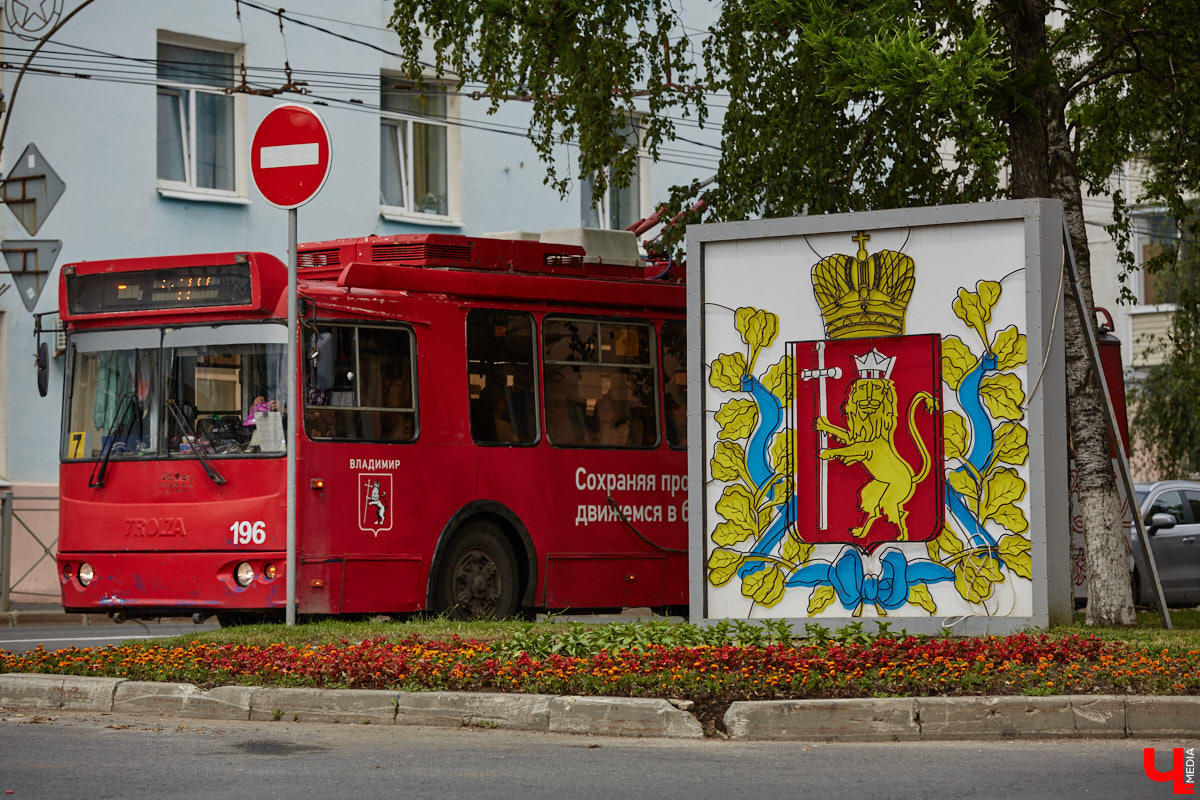 Львы во Владимире повсюду. Неудивительно, ведь гордый хищник – главный страж и символ города. Он смотрит на нас с герба, стен, памятников, арт-объектов. «Ключ-Медиа» решил устроить квест и постарался найти всех зверей в разных обличьях на улицах областной столицы.