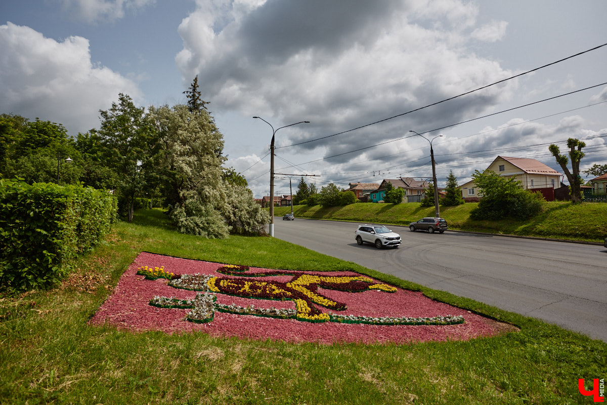 Львы во Владимире повсюду. Неудивительно, ведь гордый хищник – главный страж и символ города. Он смотрит на нас с герба, стен, памятников, арт-объектов. «Ключ-Медиа» решил устроить квест и постарался найти всех зверей в разных обличьях на улицах областной столицы.