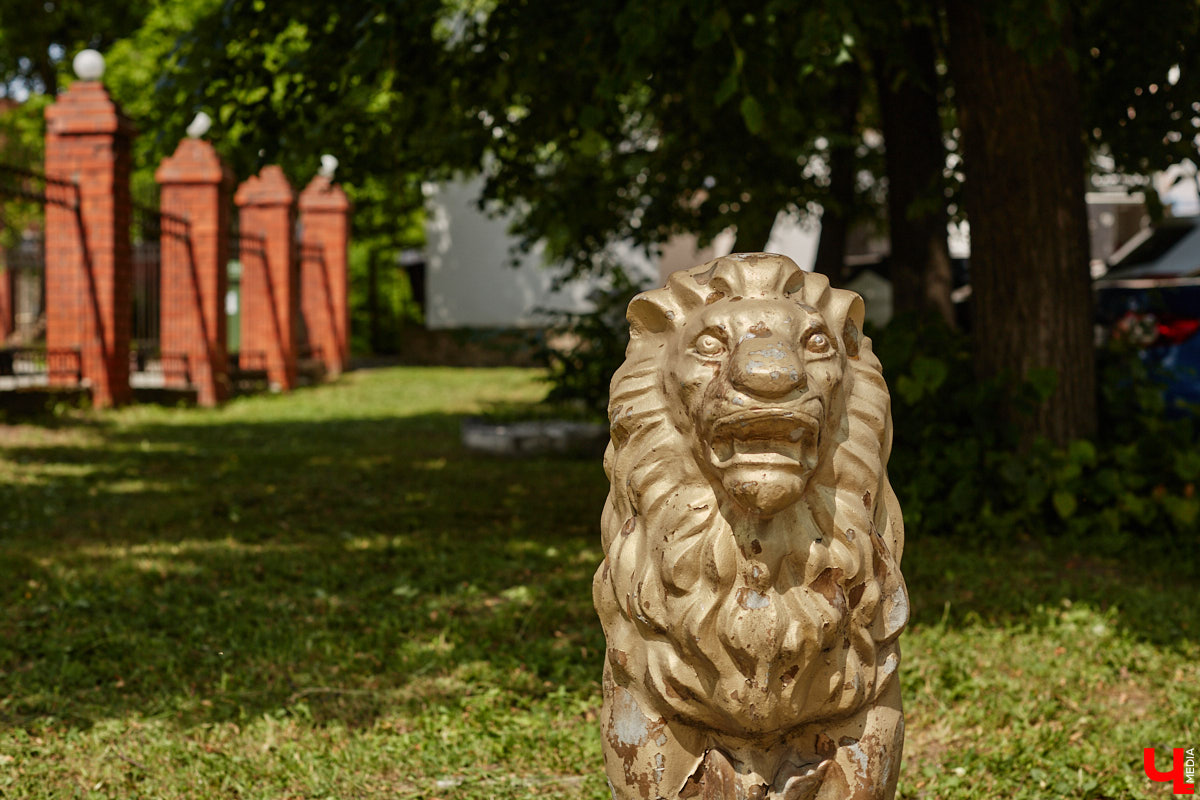 Львы во Владимире повсюду. Неудивительно, ведь гордый хищник – главный страж и символ города. Он смотрит на нас с герба, стен, памятников, арт-объектов. «Ключ-Медиа» решил устроить квест и постарался найти всех зверей в разных обличьях на улицах областной столицы.