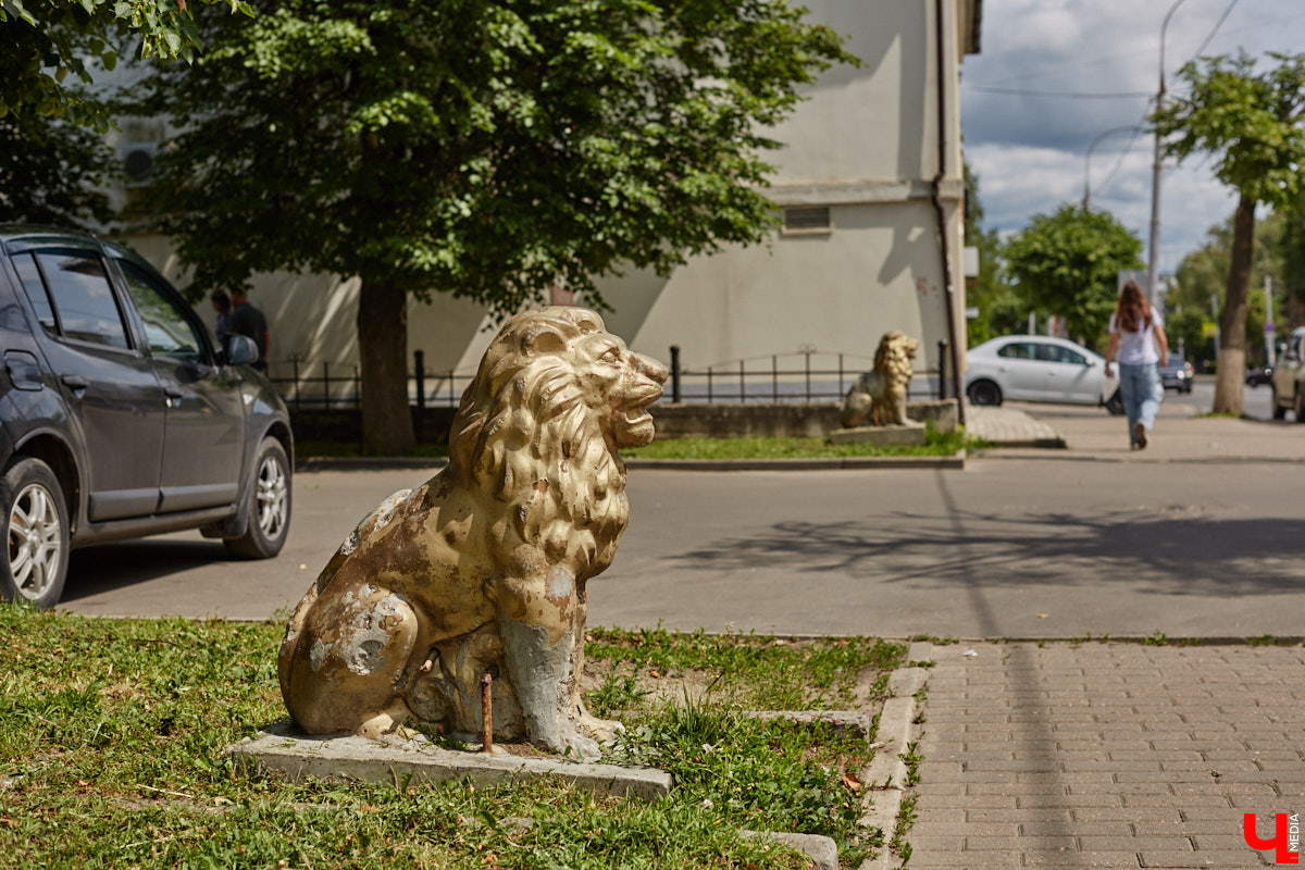 Львы во Владимире повсюду. Неудивительно, ведь гордый хищник – главный страж и символ города. Он смотрит на нас с герба, стен, памятников, арт-объектов. «Ключ-Медиа» решил устроить квест и постарался найти всех зверей в разных обличьях на улицах областной столицы.