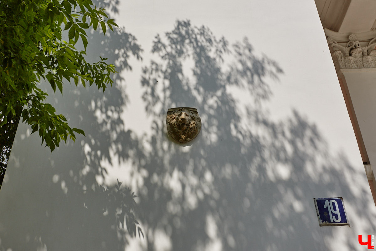 Львы во Владимире повсюду. Неудивительно, ведь гордый хищник – главный страж и символ города. Он смотрит на нас с герба, стен, памятников, арт-объектов. «Ключ-Медиа» решил устроить квест и постарался найти всех зверей в разных обличьях на улицах областной столицы.