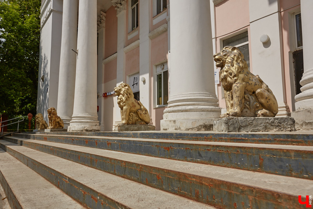 Львы во Владимире повсюду. Неудивительно, ведь гордый хищник – главный страж и символ города. Он смотрит на нас с герба, стен, памятников, арт-объектов. «Ключ-Медиа» решил устроить квест и постарался найти всех зверей в разных обличьях на улицах областной столицы.