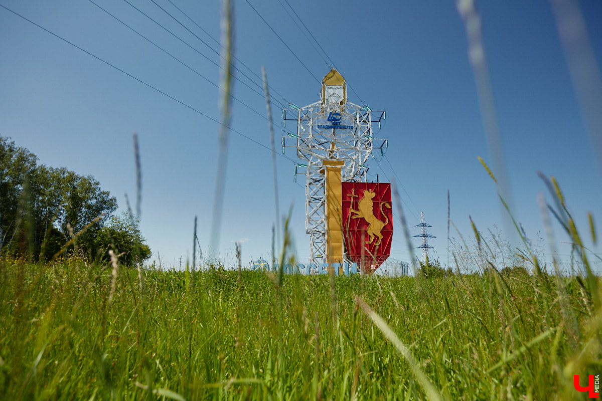 Львы во Владимире повсюду. Неудивительно, ведь гордый хищник – главный страж и символ города. Он смотрит на нас с герба, стен, памятников, арт-объектов. «Ключ-Медиа» решил устроить квест и постарался найти всех зверей в разных обличьях на улицах областной столицы.