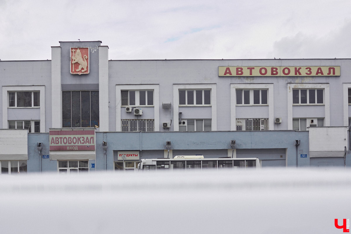 Львы во Владимире повсюду. Неудивительно, ведь гордый хищник – главный страж и символ города. Он смотрит на нас с герба, стен, памятников, арт-объектов. «Ключ-Медиа» решил устроить квест и постарался найти всех зверей в разных обличьях на улицах областной столицы.