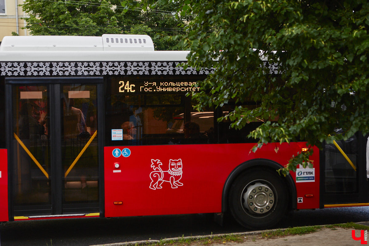 Львы во Владимире повсюду. Неудивительно, ведь гордый хищник – главный страж и символ города. Он смотрит на нас с герба, стен, памятников, арт-объектов. «Ключ-Медиа» решил устроить квест и постарался найти всех зверей в разных обличьях на улицах областной столицы.
