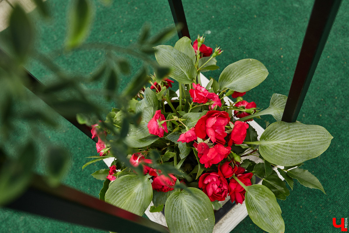 Собираетесь в ближайшее время соединить сердца? Отличная новость: теперь обменяться кольцами во Владимире можно не только в стенах Дворца бракосочетаний, но и на первой открытой площадке с прекрасным видом на исторический центр. Да еще и в одном из самых живописных мест нашего города — на территории Патриаршего сада. «Ключ-Медиа» запечатлел, как жених и невеста будут смотреться в новой локации.