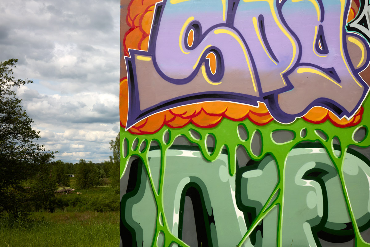 Яркий дом-куб, возведенный в нашем регионе на берегу реки, сразу же привлек внимание. Стены «Дома граффитчика» расписал известный райтер из Владимира — Спайдер. Собственно, для него весь проект и затевался. О новой арт-резиденции уличного художника «Ключ-Медиа» узнал из первых уст.