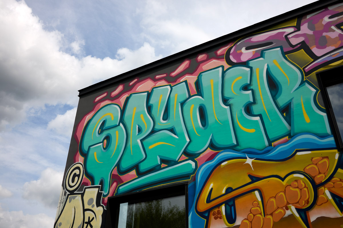 Яркий дом-куб, возведенный в нашем регионе на берегу реки, сразу же привлек внимание. Стены «Дома граффитчика» расписал известный райтер из Владимира — Спайдер. Собственно, для него весь проект и затевался. О новой арт-резиденции уличного художника «Ключ-Медиа» узнал из первых уст.