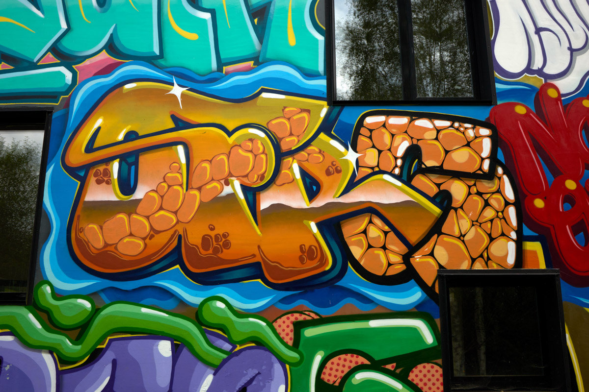 Яркий дом-куб, возведенный в нашем регионе на берегу реки, сразу же привлек внимание. Стены «Дома граффитчика» расписал известный райтер из Владимира — Спайдер. Собственно, для него весь проект и затевался. О новой арт-резиденции уличного художника «Ключ-Медиа» узнал из первых уст.