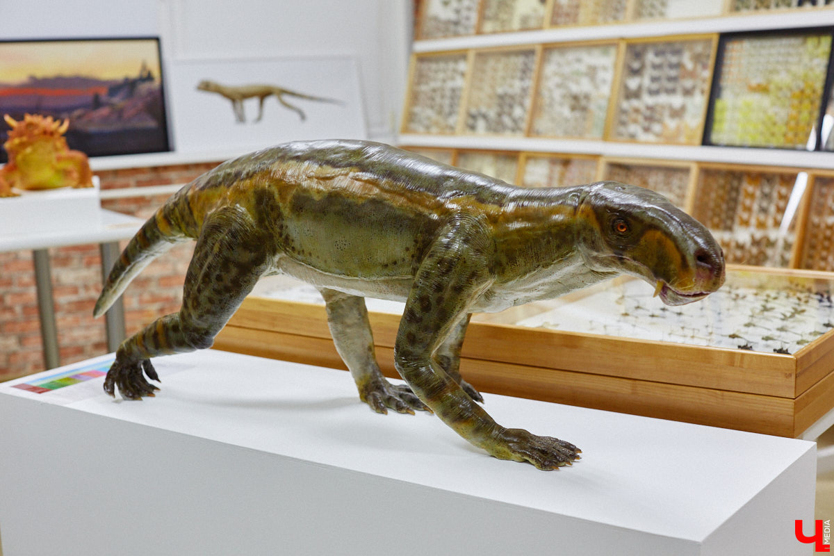 Динозавры не самые древние создания. Кто жил до них несколько сот миллионов лет назад на территории современной России, знает Алексей Логвиненко. Об этом он рассказывает в своем частном музее, где собрал не только макеты доисторических существ в натуральную величину, но и удивительных насекомых со всей планеты.