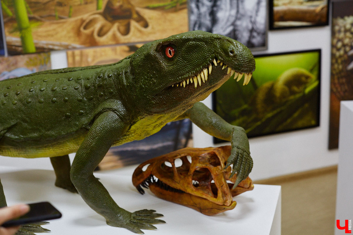 Динозавры не самые древние создания. Кто жил до них несколько сот миллионов лет назад на территории современной России, знает Алексей Логвиненко. Об этом он рассказывает в своем частном музее, где собрал не только макеты доисторических существ в натуральную величину, но и удивительных насекомых со всей планеты.