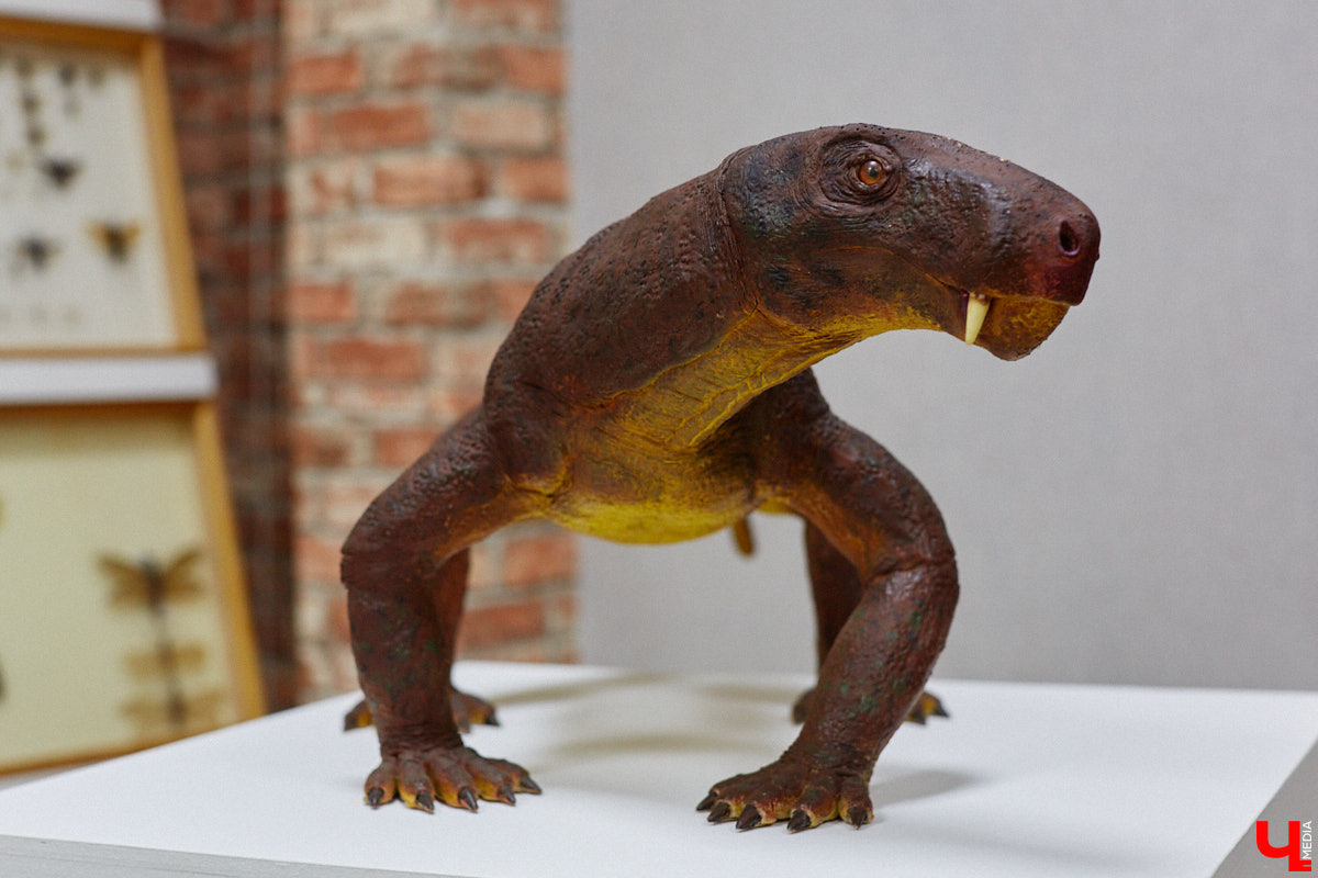 Динозавры не самые древние создания. Кто жил до них несколько сот миллионов лет назад на территории современной России, знает Алексей Логвиненко. Об этом он рассказывает в своем частном музее, где собрал не только макеты доисторических существ в натуральную величину, но и удивительных насекомых со всей планеты.