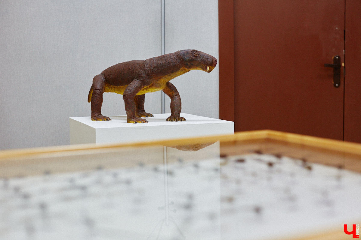 Динозавры не самые древние создания. Кто жил до них несколько сот миллионов лет назад на территории современной России, знает Алексей Логвиненко. Об этом он рассказывает в своем частном музее, где собрал не только макеты доисторических существ в натуральную величину, но и удивительных насекомых со всей планеты.