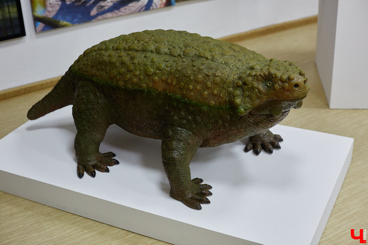 Динозавры не самые древние создания. Кто жил до них несколько сот миллионов лет назад на территории современной России, знает Алексей Логвиненко. Об этом он рассказывает в своем частном музее, где собрал не только макеты доисторических существ в натуральную величину, но и удивительных насекомых со всей планеты.