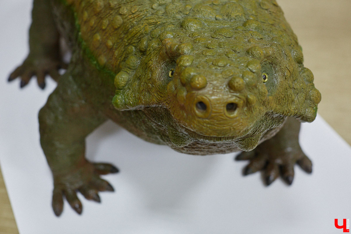 Динозавры не самые древние создания. Кто жил до них несколько сот миллионов лет назад на территории современной России, знает Алексей Логвиненко. Об этом он рассказывает в своем частном музее, где собрал не только макеты доисторических существ в натуральную величину, но и удивительных насекомых со всей планеты.