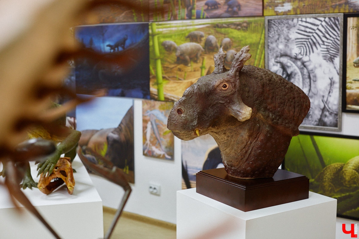 Динозавры не самые древние создания. Кто жил до них несколько сот миллионов лет назад на территории современной России, знает Алексей Логвиненко. Об этом он рассказывает в своем частном музее, где собрал не только макеты доисторических существ в натуральную величину, но и удивительных насекомых со всей планеты.