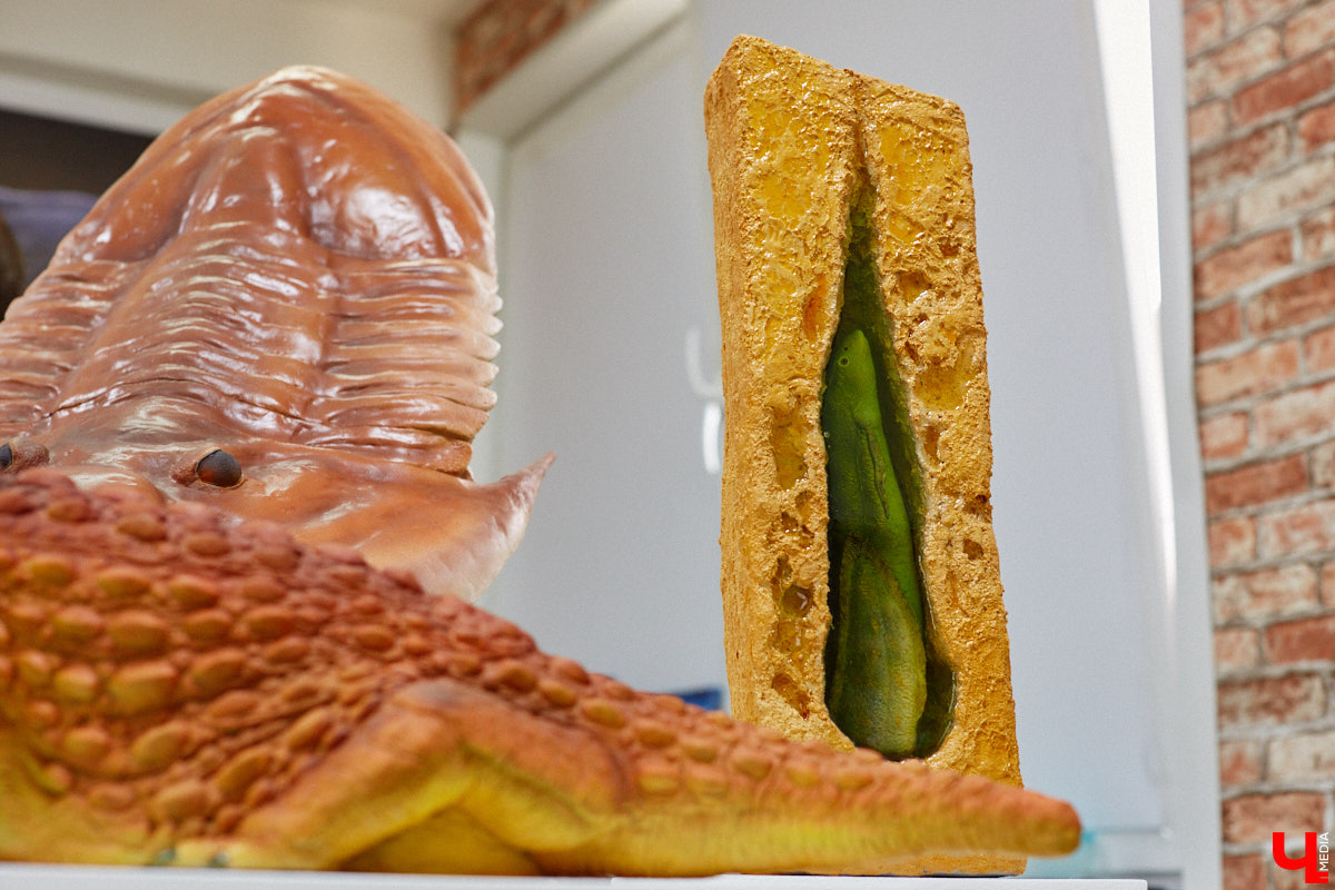 Динозавры не самые древние создания. Кто жил до них несколько сот миллионов лет назад на территории современной России, знает Алексей Логвиненко. Об этом он рассказывает в своем частном музее, где собрал не только макеты доисторических существ в натуральную величину, но и удивительных насекомых со всей планеты.