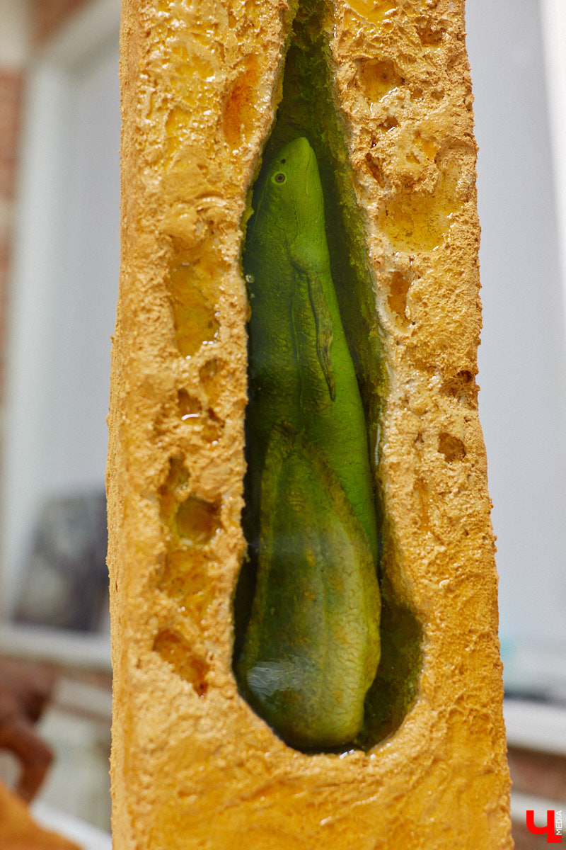 Динозавры не самые древние создания. Кто жил до них несколько сот миллионов лет назад на территории современной России, знает Алексей Логвиненко. Об этом он рассказывает в своем частном музее, где собрал не только макеты доисторических существ в натуральную величину, но и удивительных насекомых со всей планеты.