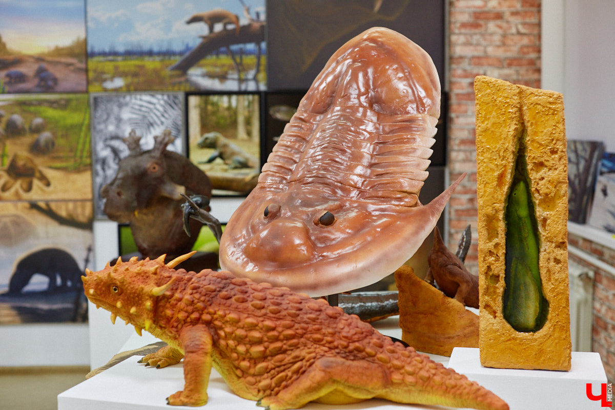 Динозавры не самые древние создания. Кто жил до них несколько сот миллионов лет назад на территории современной России, знает Алексей Логвиненко. Об этом он рассказывает в своем частном музее, где собрал не только макеты доисторических существ в натуральную величину, но и удивительных насекомых со всей планеты.