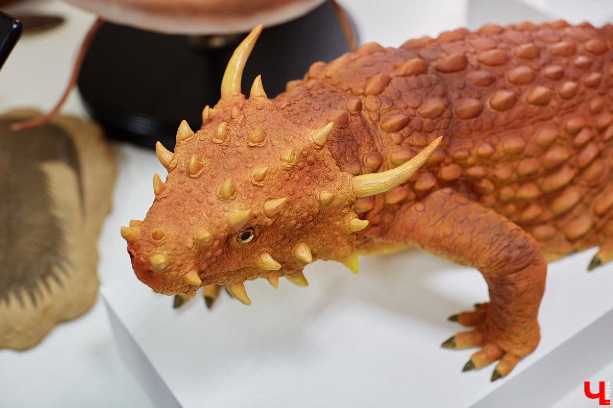 Динозавры не самые древние создания. Кто жил до них несколько сот миллионов лет назад на территории современной России, знает Алексей Логвиненко. Об этом он рассказывает в своем частном музее, где собрал не только макеты доисторических существ в натуральную величину, но и удивительных насекомых со всей планеты.