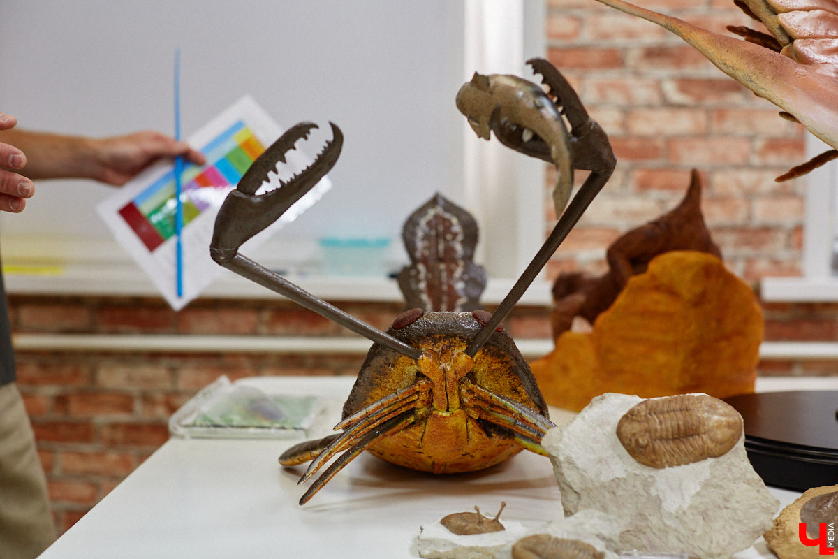 Динозавры не самые древние создания. Кто жил до них несколько сот миллионов лет назад на территории современной России, знает Алексей Логвиненко. Об этом он рассказывает в своем частном музее, где собрал не только макеты доисторических существ в натуральную величину, но и удивительных насекомых со всей планеты.