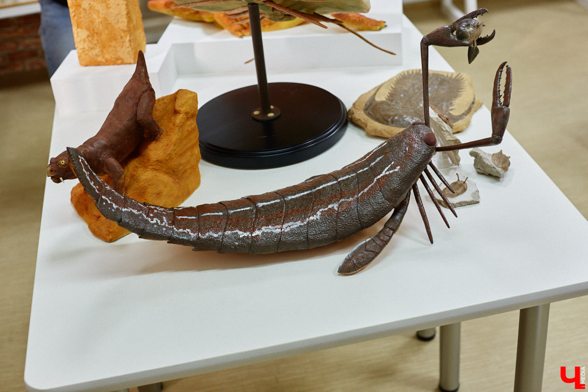 Динозавры не самые древние создания. Кто жил до них несколько сот миллионов лет назад на территории современной России, знает Алексей Логвиненко. Об этом он рассказывает в своем частном музее, где собрал не только макеты доисторических существ в натуральную величину, но и удивительных насекомых со всей планеты.