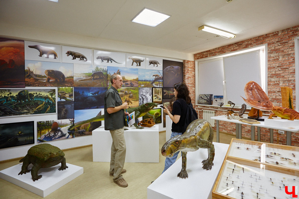 Динозавры не самые древние создания. Кто жил до них несколько сот миллионов лет назад на территории современной России, знает Алексей Логвиненко. Об этом он рассказывает в своем частном музее, где собрал не только макеты доисторических существ в натуральную величину, но и удивительных насекомых со всей планеты.