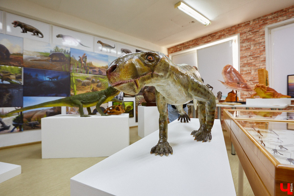 Динозавры не самые древние создания. Кто жил до них несколько сот миллионов лет назад на территории современной России, знает Алексей Логвиненко. Об этом он рассказывает в своем частном музее, где собрал не только макеты доисторических существ в натуральную величину, но и удивительных насекомых со всей планеты.