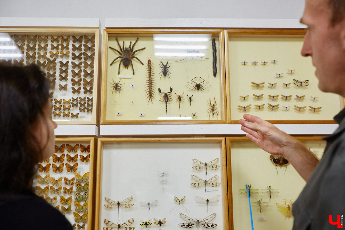 Динозавры не самые древние создания. Кто жил до них несколько сот миллионов лет назад на территории современной России, знает Алексей Логвиненко. Об этом он рассказывает в своем частном музее, где собрал не только макеты доисторических существ в натуральную величину, но и удивительных насекомых со всей планеты.