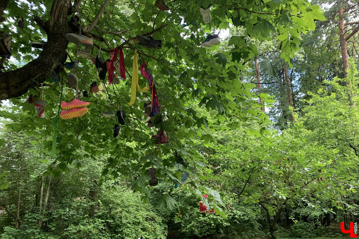 Переделкино        — легендарный дачный поселок, где жили и        творили известные писатели и        поэты. Но        одно место буквально разрушает привычные представления! Это Дом-музей скульптора Зураба Церетели. Зачарованный сад населяют гигантские фигуры, крошечные персонажи, сверкающие мозаикой животные, золотые птицы и        известные герои разных эпох. Столь необычная локация стала одной из        целей нового маршрута для поездки выходного дня.