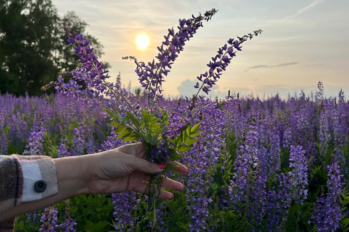 Как в одном летнем путешествии совместить экскурсионный отдых, фотосессию в живописном месте и водный туризм? Нужно приехать в поселок Фролищи, расположенный на берегу реки Лух в окружении карстовых озер на стыке Владимирской, Нижегородской и Ивановской областей. Там находится старинный Свято-Успенский мужской монастырь, или Флорищева пустынь, небесно-голубые купола которого видны еще с дороги. Кстати, именно там снимали эпизод фильма «Битва за Москву» и при этом чуть не разрушили древнюю обитель.