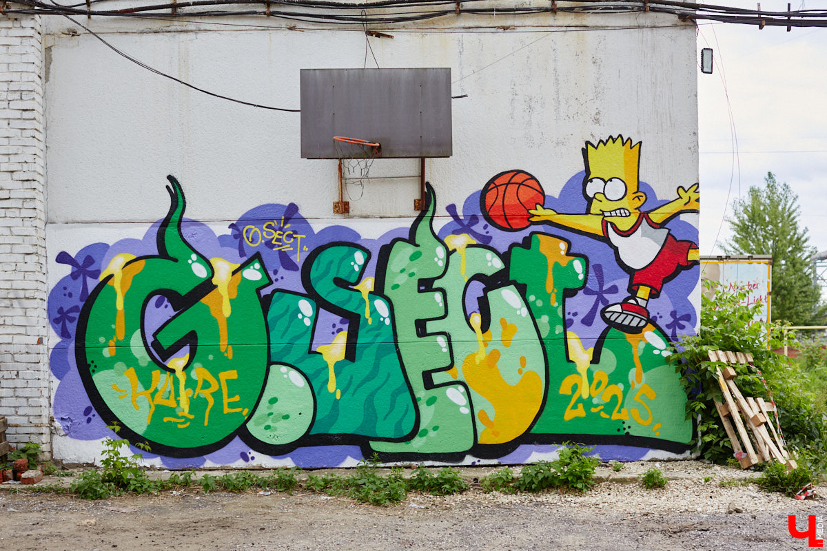 Если Суздаль — музей под открытым небом, то Владимир — творческая площадка. Стрит-арты появляются в городе порой в самых неожиданных местах, оттого их так приятно бывает случайно обнаружить. Надеемся, не испортим сюрприз, подсказав, где расположились новые работы, достойные внимания.