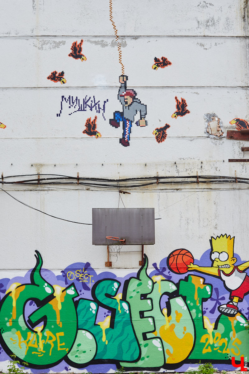 Если Суздаль — музей под открытым небом, то Владимир — творческая площадка. Стрит-арты появляются в городе порой в самых неожиданных местах, оттого их так приятно бывает случайно обнаружить. Надеемся, не испортим сюрприз, подсказав, где расположились новые работы, достойные внимания.