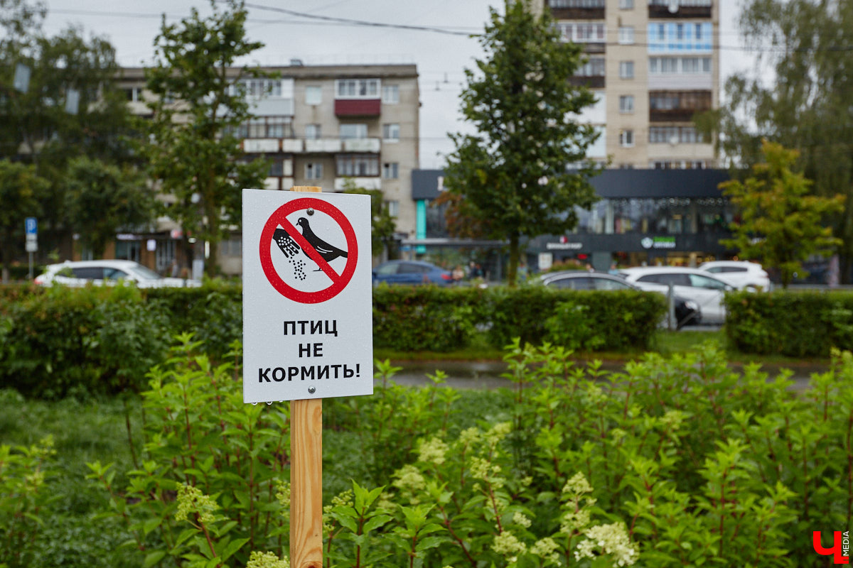 Во Владимире не перестают совершенствовать общественные пространства. На 2025 год было запланировано высадить миллион цветов, благодаря чему областной центр действительно похорошел, хотя бы локально. Три точки на карте, о которых пойдет речь, тому подтверждение!