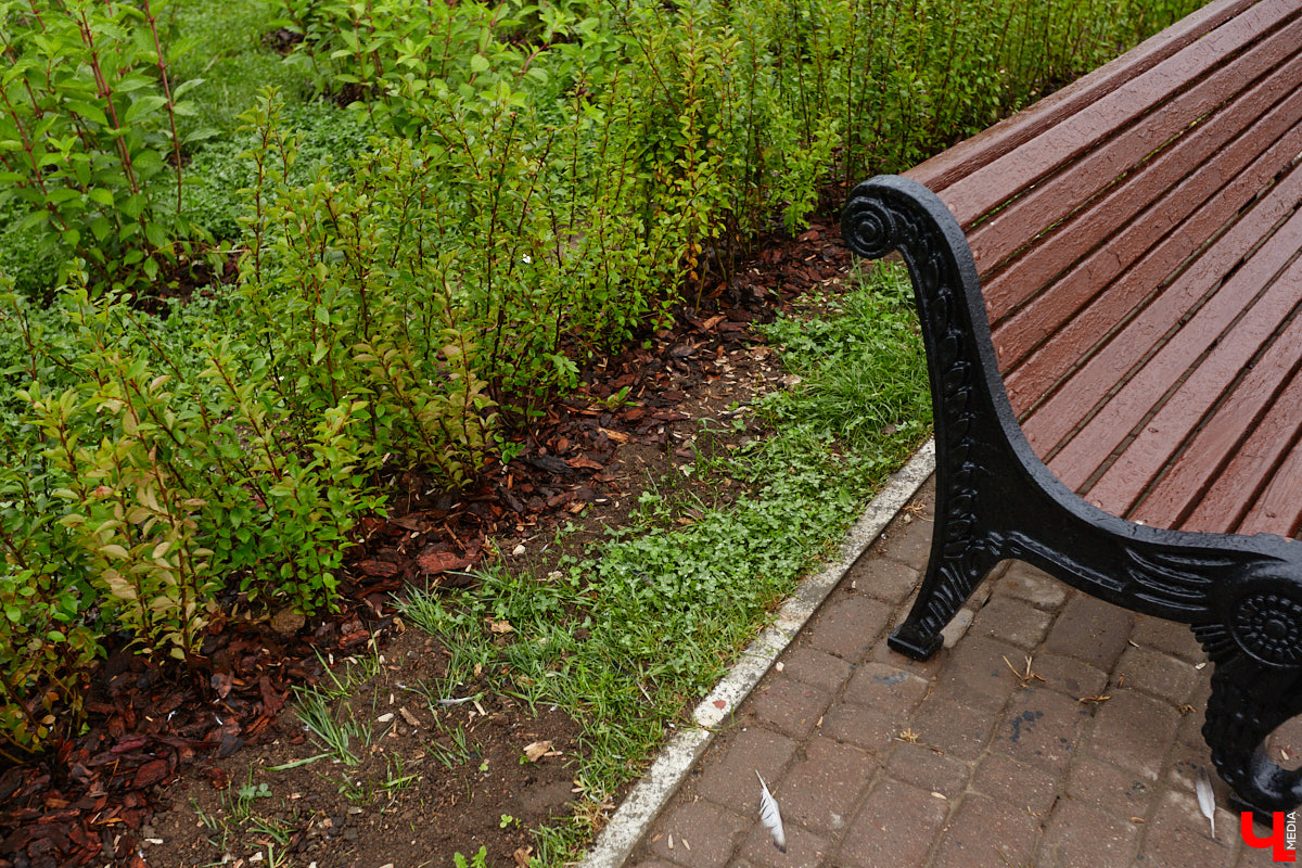 Во Владимире не перестают совершенствовать общественные пространства. На 2025 год было запланировано высадить миллион цветов, благодаря чему областной центр действительно похорошел, хотя бы локально. Три точки на карте, о которых пойдет речь, тому подтверждение!
