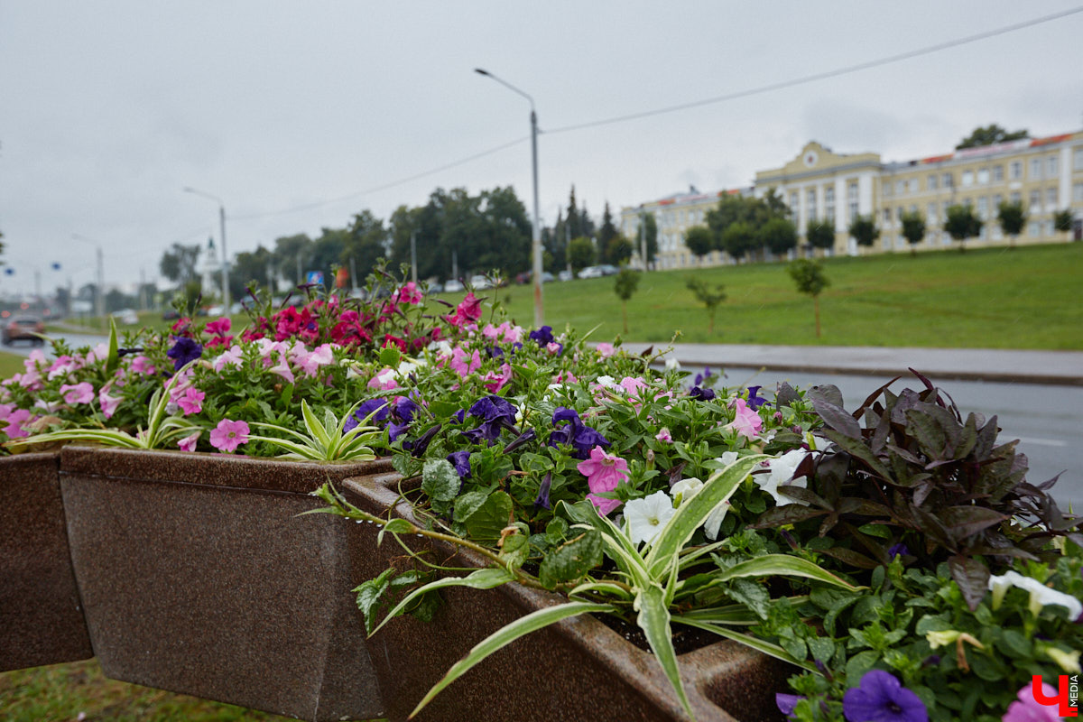 Во Владимире не перестают совершенствовать общественные пространства. На 2025 год было запланировано высадить миллион цветов, благодаря чему областной центр действительно похорошел, хотя бы локально. Три точки на карте, о которых пойдет речь, тому подтверждение!