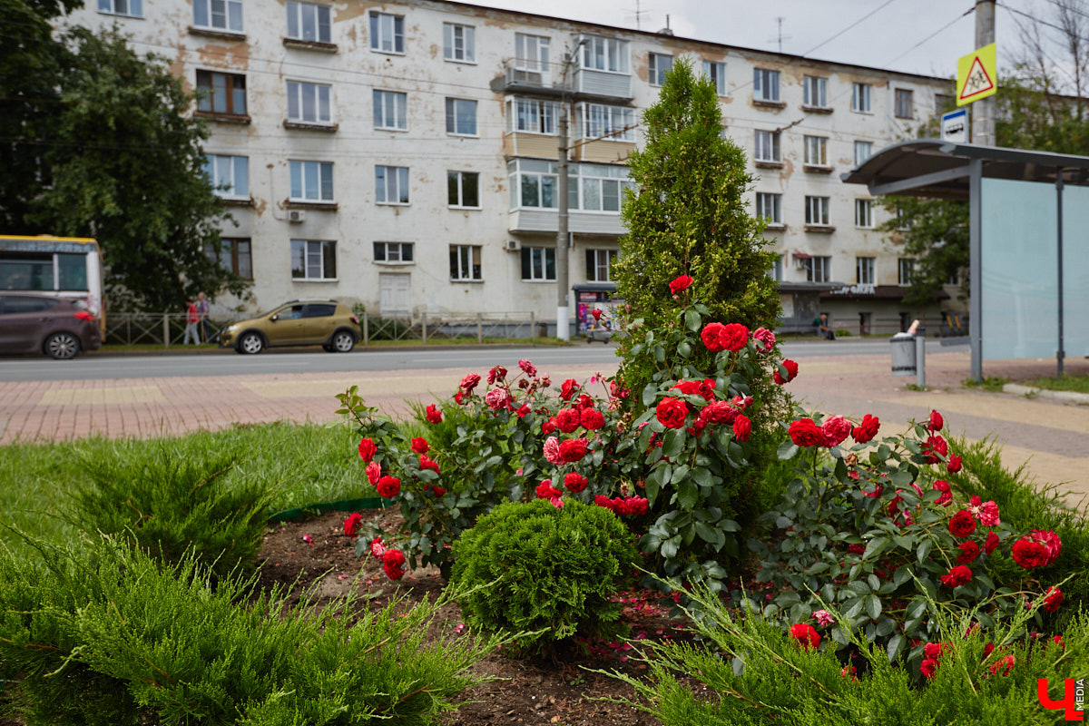 Во Владимире не перестают совершенствовать общественные пространства. На 2025 год было запланировано высадить миллион цветов, благодаря чему областной центр действительно похорошел, хотя бы локально. Три точки на карте, о которых пойдет речь, тому подтверждение!
