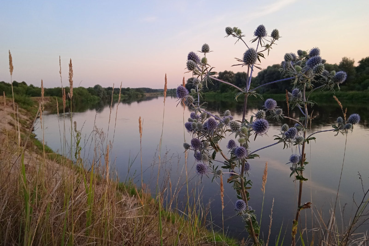 Лето   — идеальное время для путешествий по   воде. Но   куда отправиться, дабы испытать в   деле сапы, рафты и   байдарки? Вариантов немало, однако мы   собрали для вас семь самых живописных и   интересных маршрутов по   водоемам Владимирской области. А   главное, все они подходят как новичкам, так и   опытным туристам.
