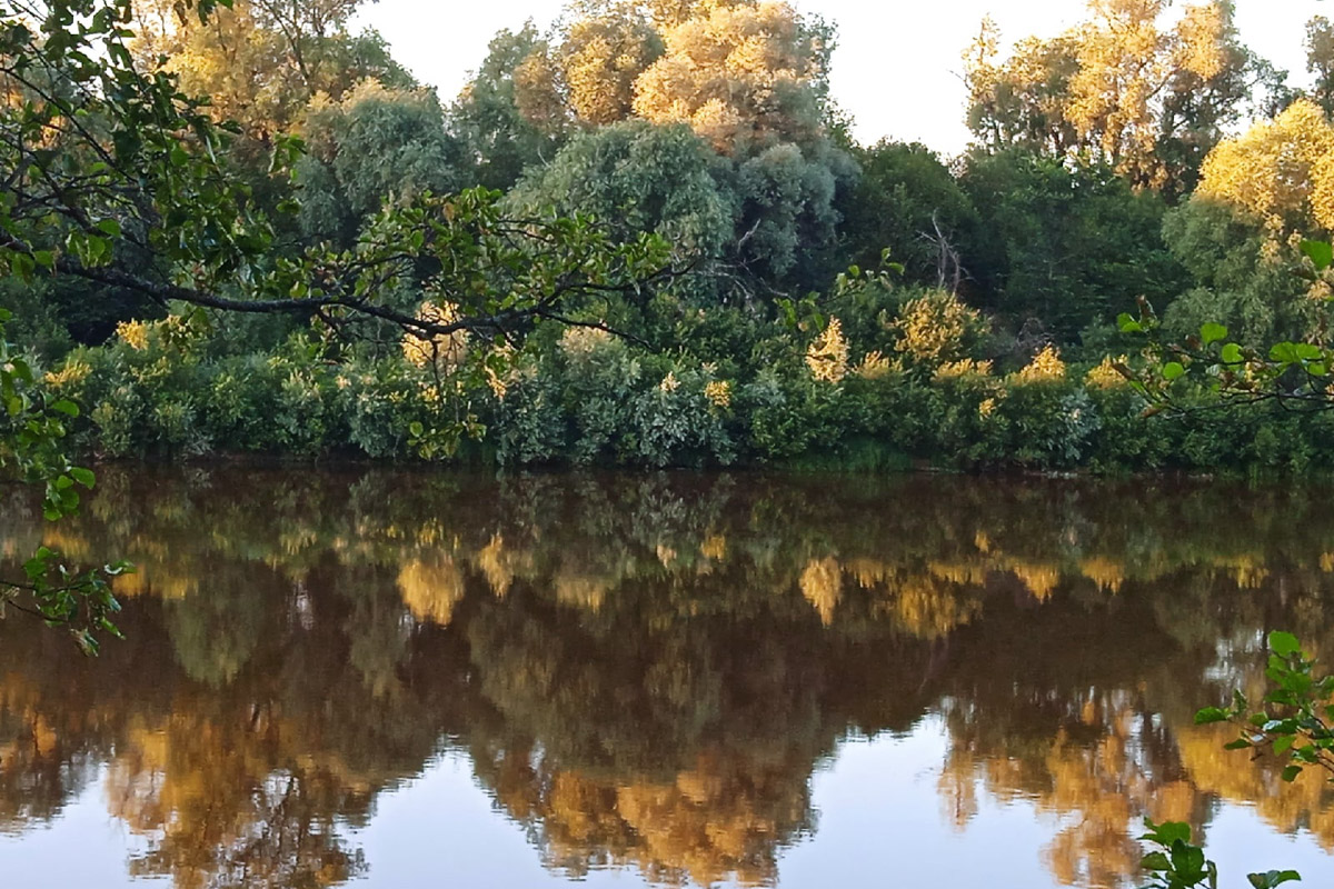 Лето   — идеальное время для путешествий по   воде. Но   куда отправиться, дабы испытать в   деле сапы, рафты и   байдарки? Вариантов немало, однако мы   собрали для вас семь самых живописных и   интересных маршрутов по   водоемам Владимирской области. А   главное, все они подходят как новичкам, так и   опытным туристам.